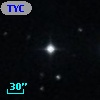TYC  828-282-1