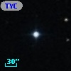 TYC  828-489-1
