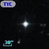 TYC  828-969-1