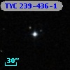 TYC  239-436-1