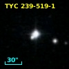 TYC  239-519-1