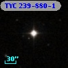TYC  239-880-1
