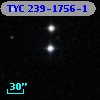 TYC  239-1756-1