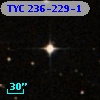 TYC  236-229-1
