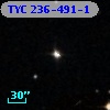 TYC  236-491-1