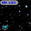 RRF 1163