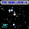 TYC 3605-2836-1