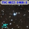 TYC 4022-1460-1