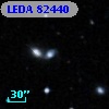 LEDA   82440
