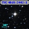 TYC 4018-2442-1