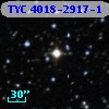 TYC 4018-2917-1