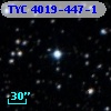 TYC 4019-447-1