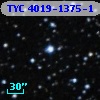 TYC 4019-1375-1