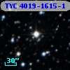 TYC 4019-1615-1