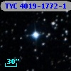 TYC 4019-1772-1