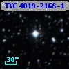TYC 4019-2168-1