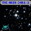 TYC 4019-2481-1