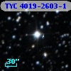 TYC 4019-2603-1