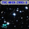 TYC 4019-2993-1