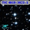 TYC 4019-3023-1