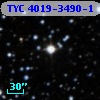 TYC 4019-3490-1