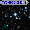TYC 4022-247-1