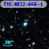 TYC 4022-666-1