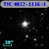 TYC 4022-1116-1