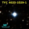 TYC 4023-1029-1