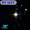 WT 1677