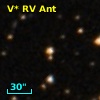 V* RV Ant