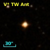 V* TW Ant