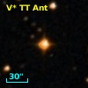 V* TT Ant