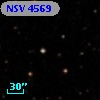 NSV  4569