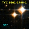 TYC 6601-1795-1