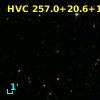 HVC 257.0+20.6+172