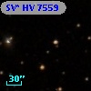 SV* HV  7559