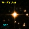 V* RY Ant