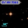 SV* HV  7561
