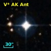 V* AK Ant