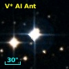 V* AI Ant