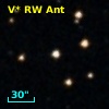 V* RW Ant