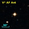 V* AF Ant