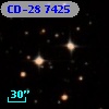 CD-28  7425