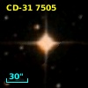 CD-31  7505