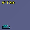 V* T Ant