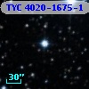 TYC 4020-1675-1