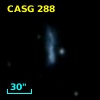 CASG  288