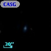 CASG  290