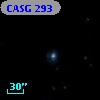 CASG  293